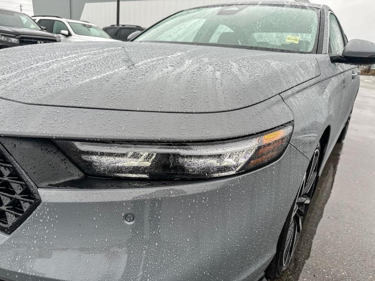 2025 Honda Accord Hybrid TOURING Photo