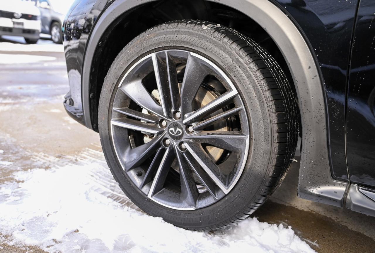 2025 Infiniti QX50 SPORT Nissan Company Vehicle Photo