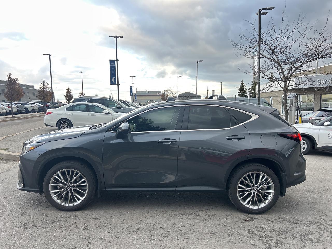 2025 Lexus NX NX 350h AWD Photo2