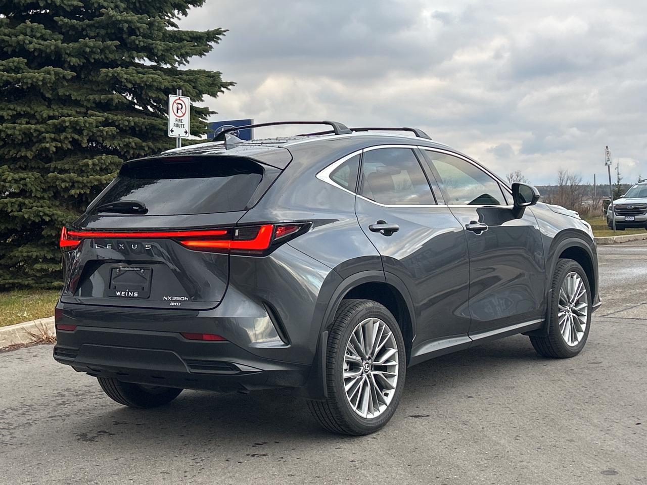 2025 Lexus NX NX 350h AWD Photo
