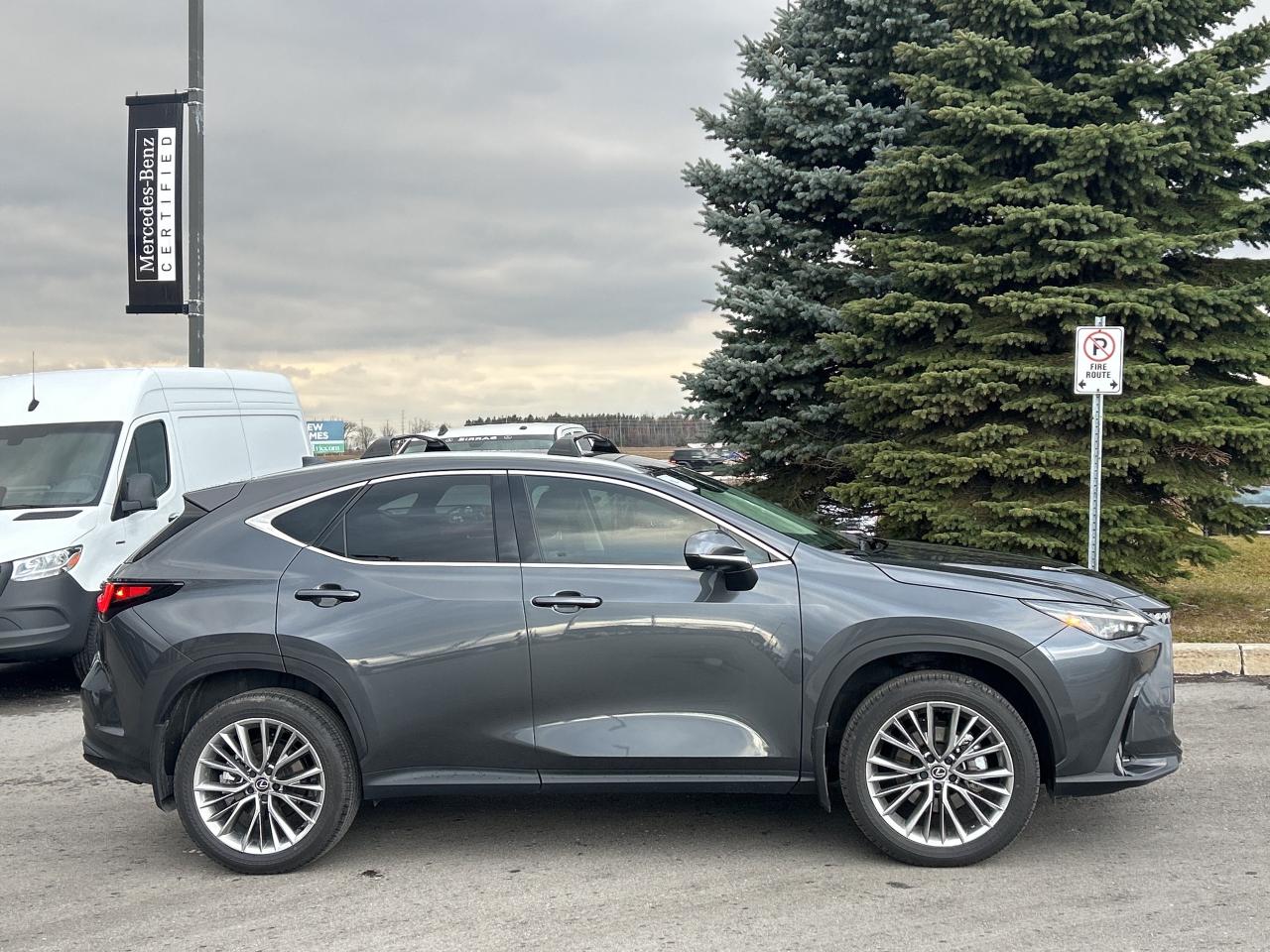 2025 Lexus NX NX 350h AWD Photo