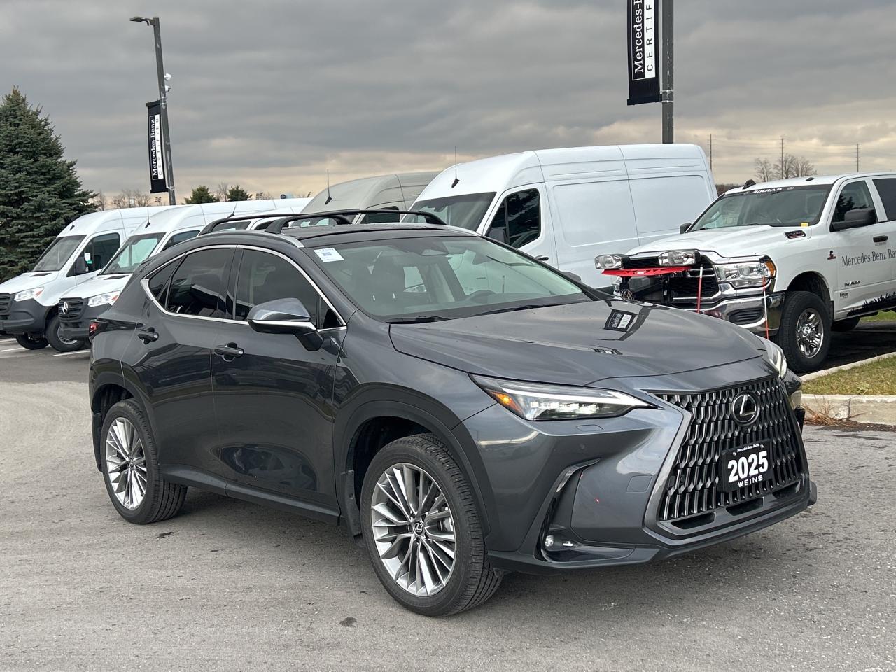 2025 Lexus NX NX 350h AWD Photo
