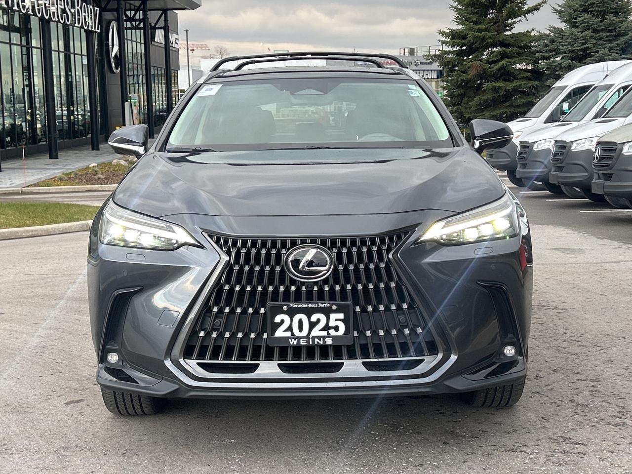 2025 Lexus NX NX 350h AWD Photo