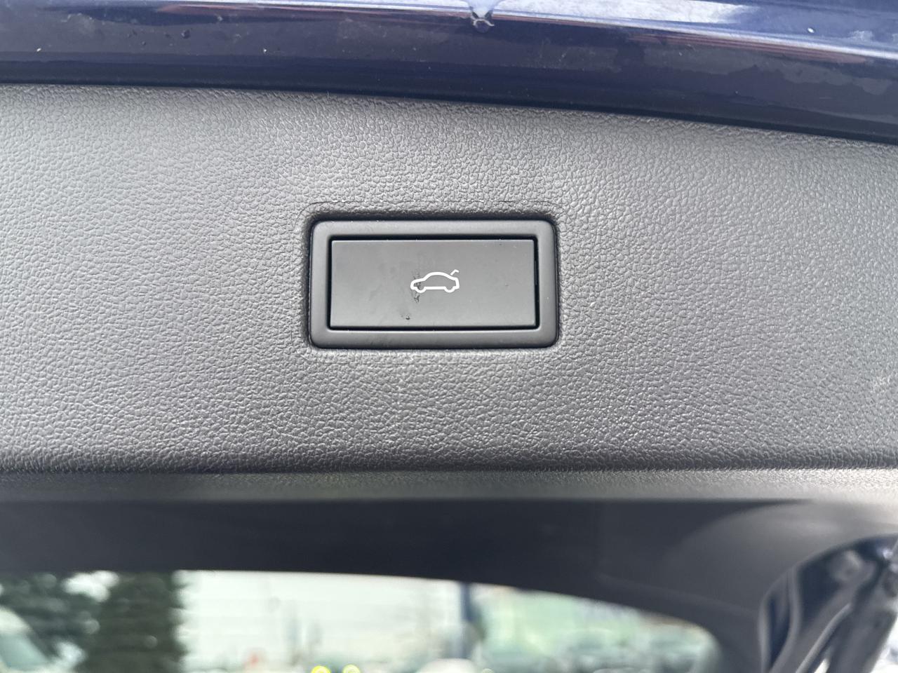 2024 Volkswagen Tiguan 4Motion Photo