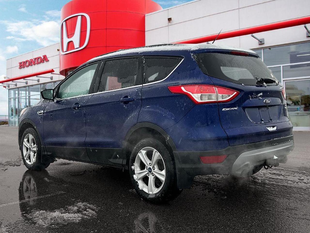 2014 Ford Escape SE Photo