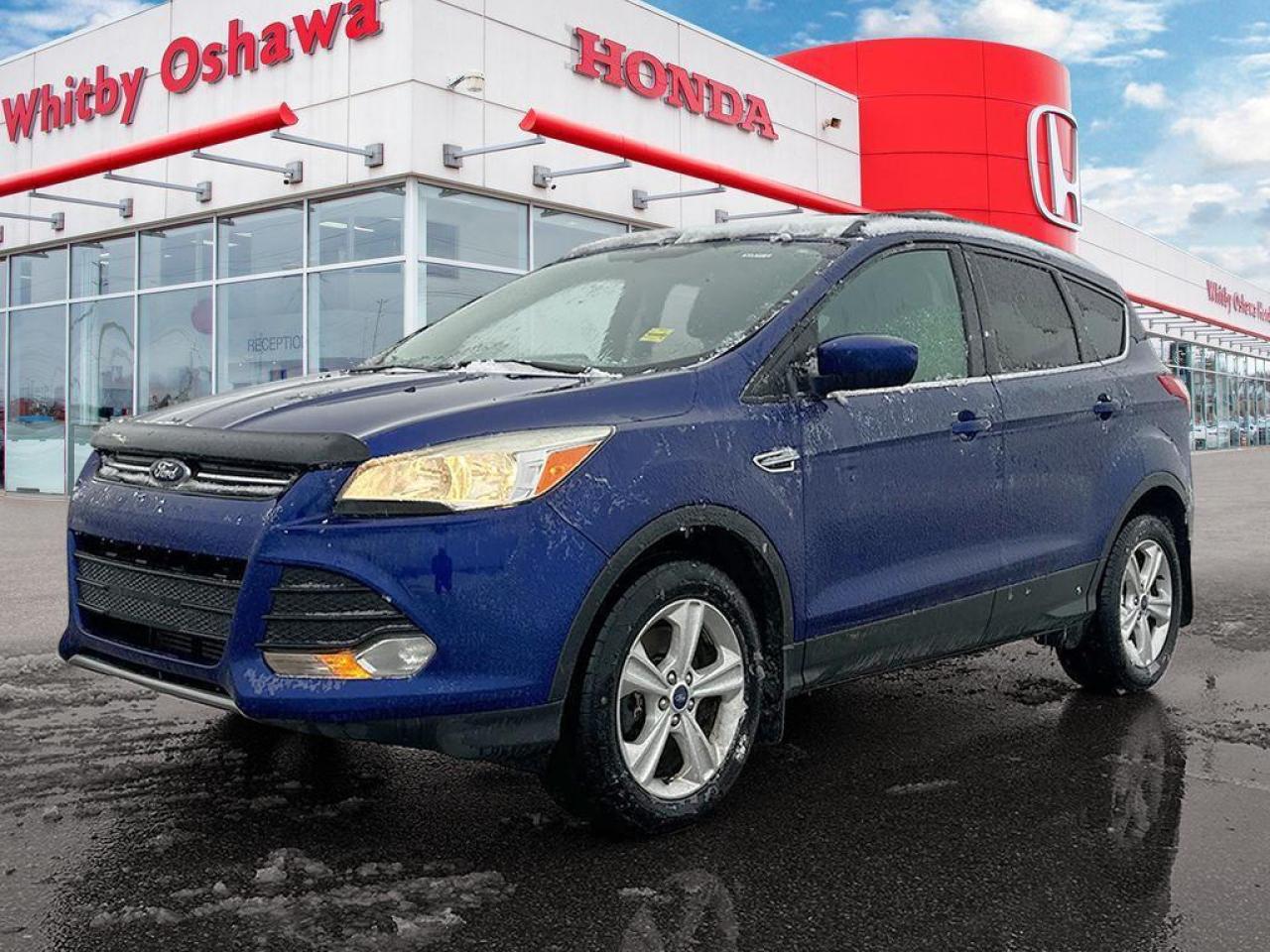 2014 Ford Escape SE Photo