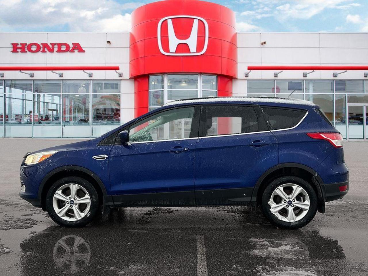 2014 Ford Escape SE Photo