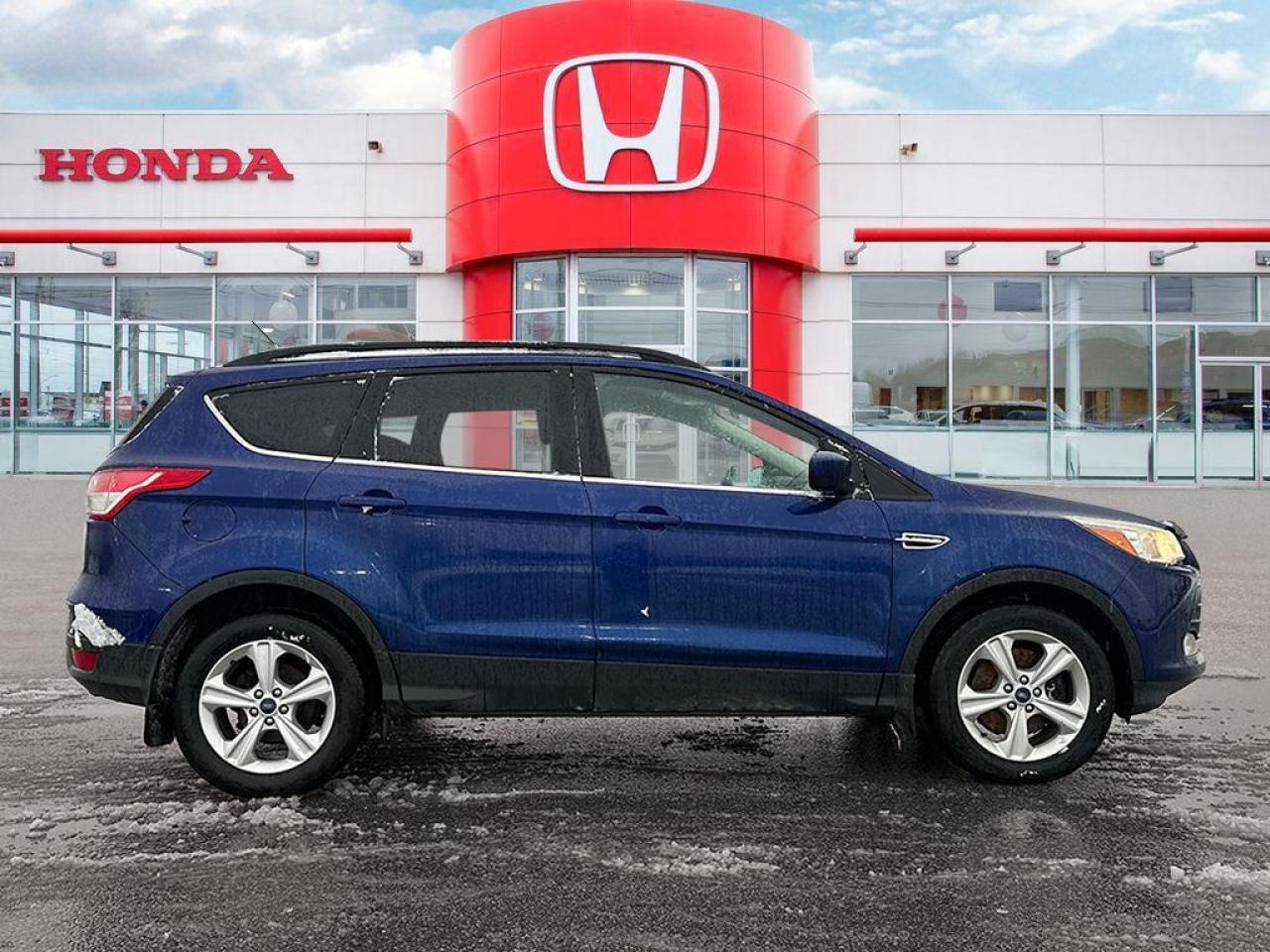 2014 Ford Escape SE Photo