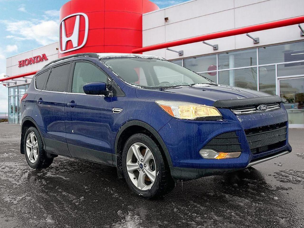 2014 Ford Escape SE Photo