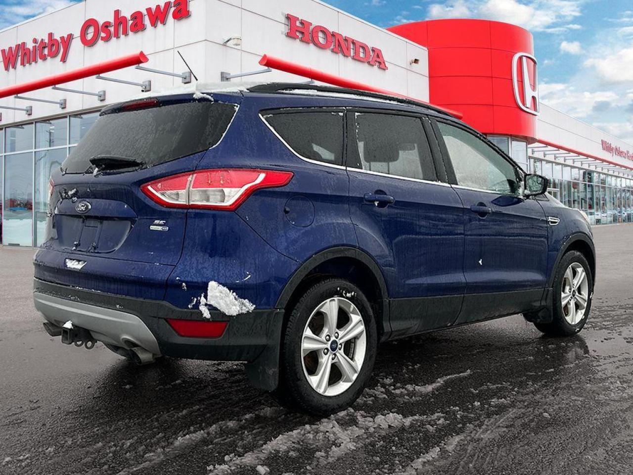 2014 Ford Escape SE Photo