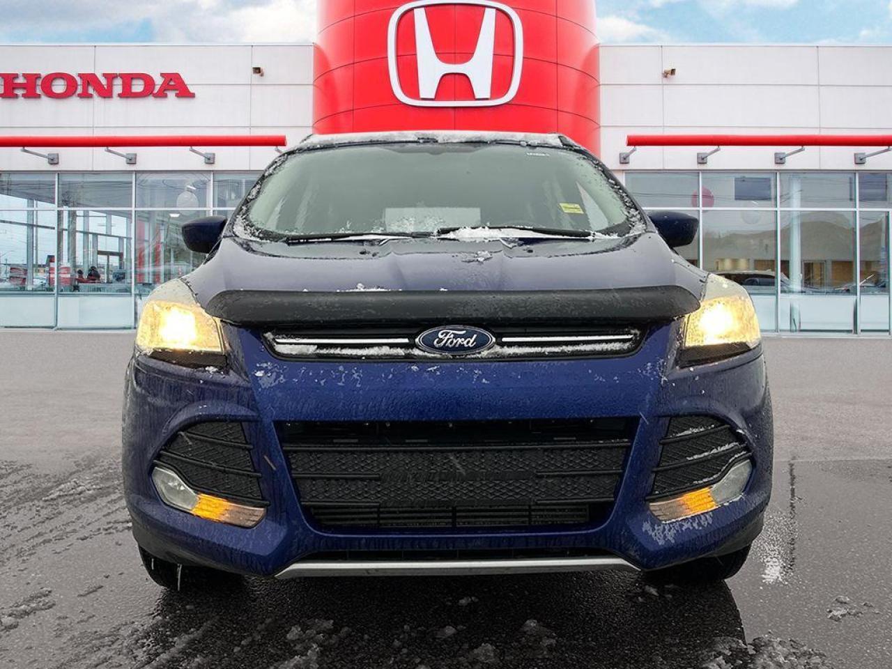 2014 Ford Escape SE Photo