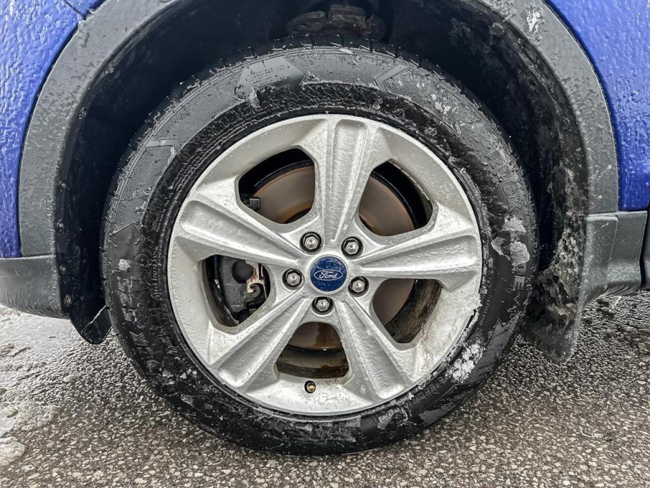 2014 Ford Escape SE Photo