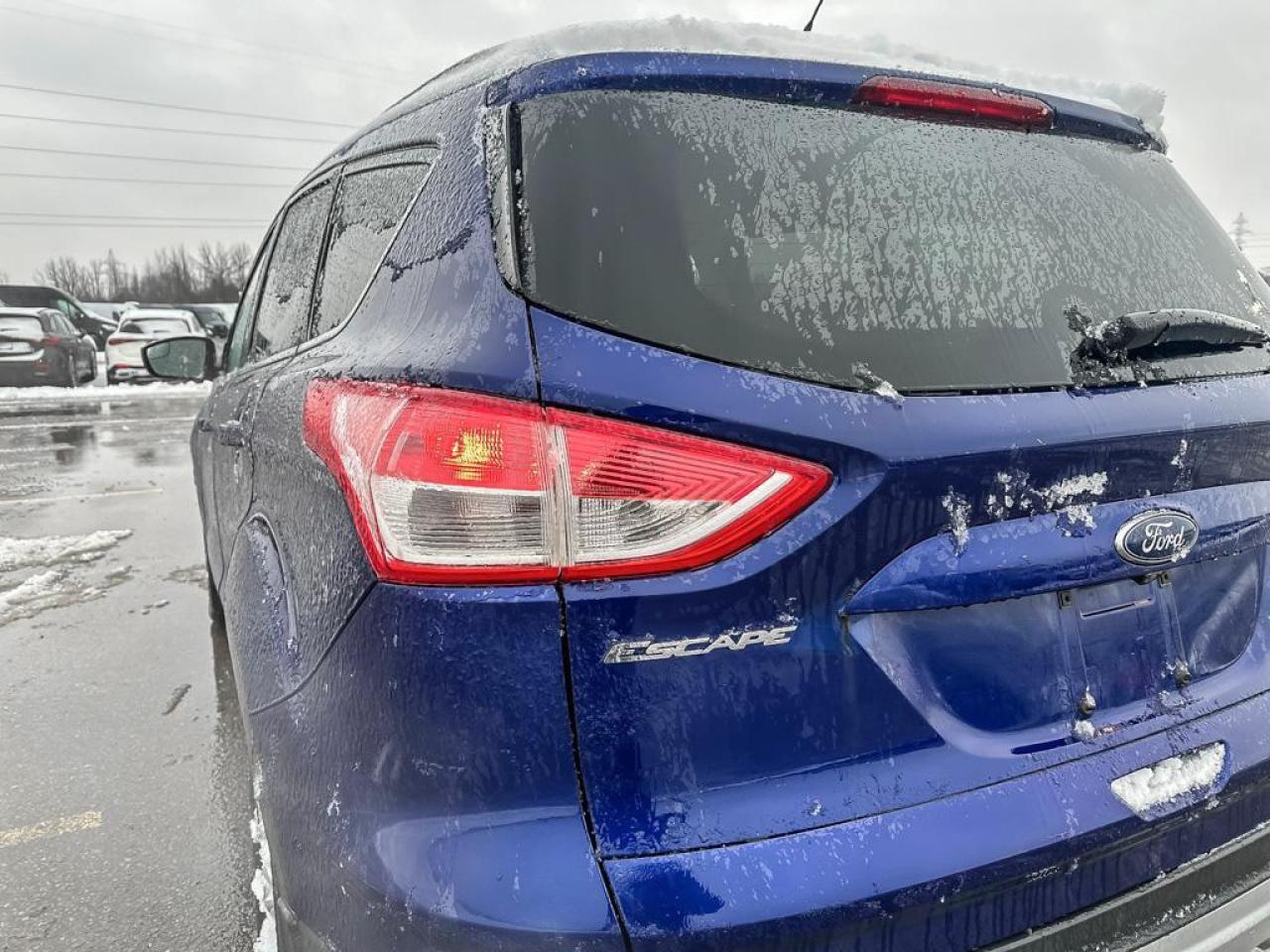 2014 Ford Escape SE Photo