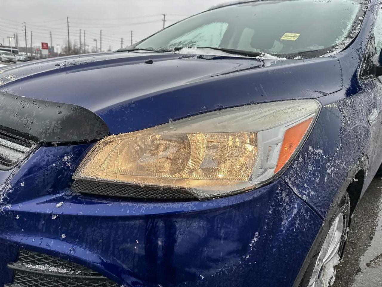 2014 Ford Escape SE Photo