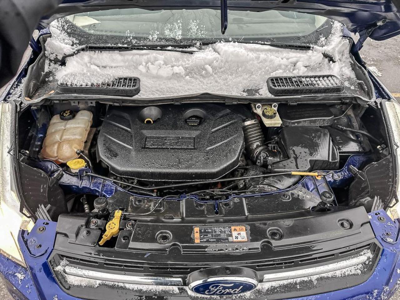 2014 Ford Escape SE Photo