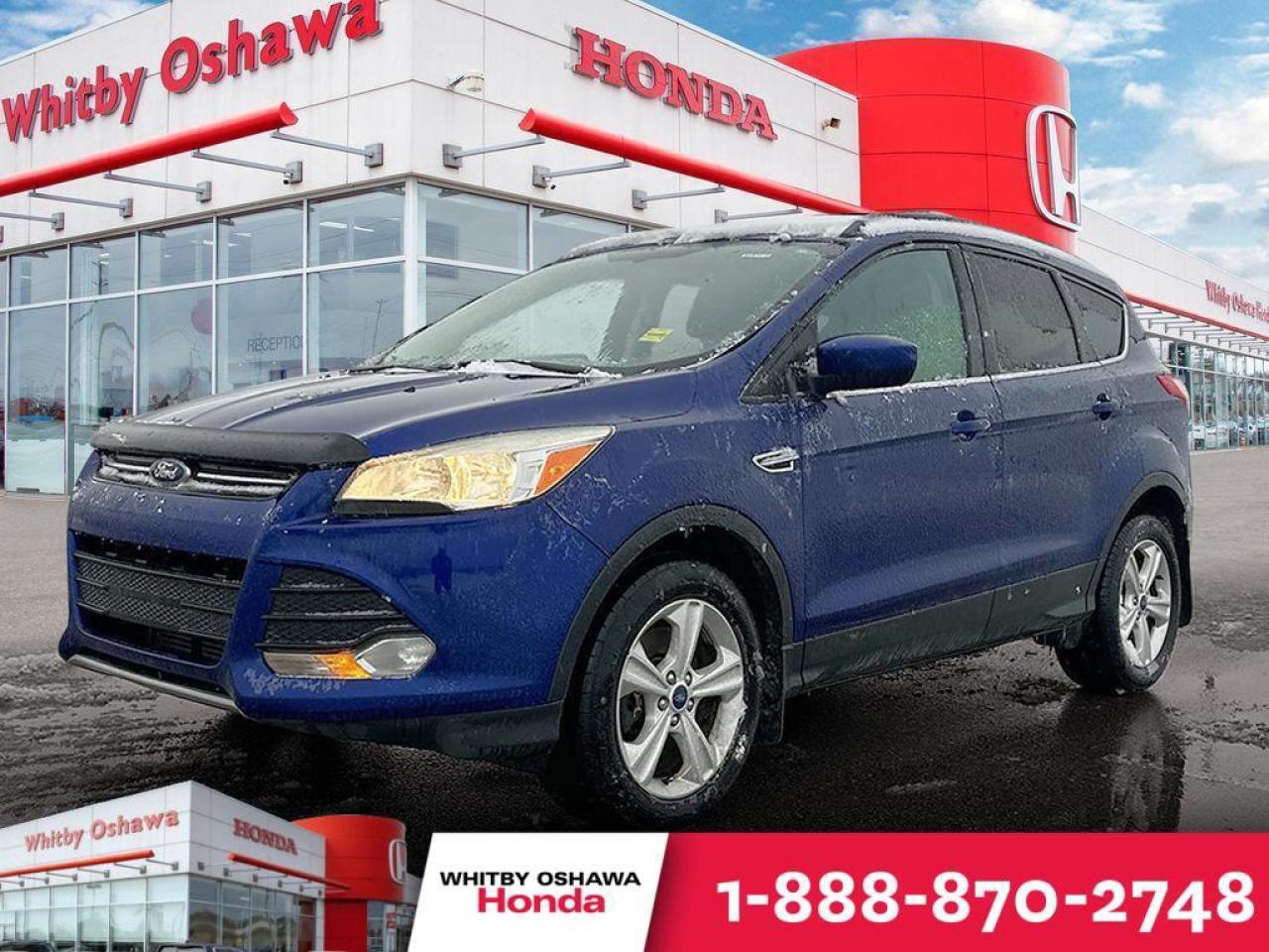 2014 Ford Escape SE Photo