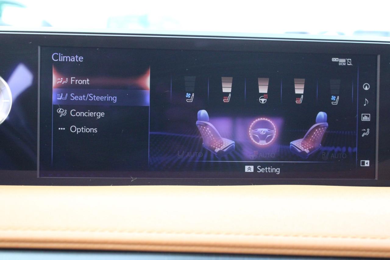 2020 Lexus UX 250H Luxury   No Accident   Navigation   Safety Certifi Photo