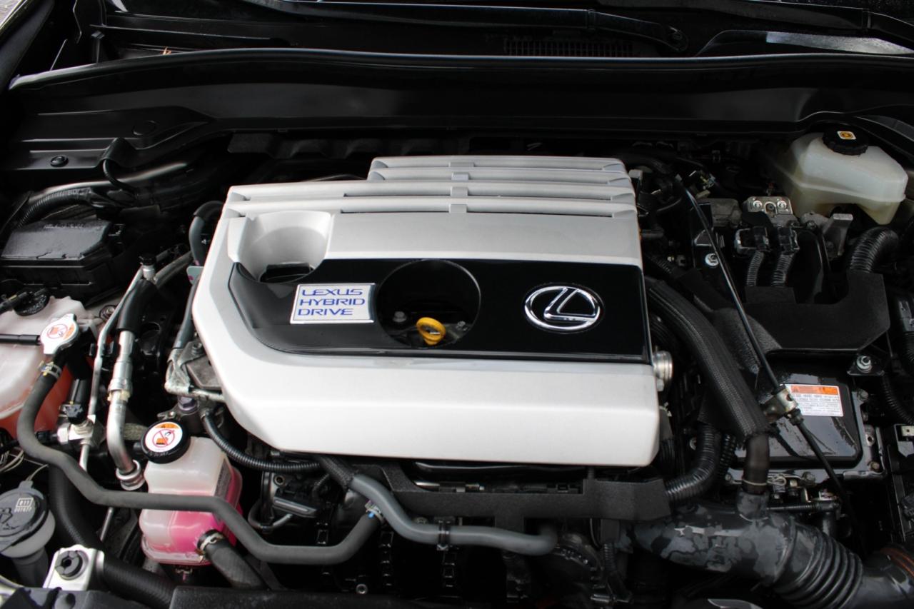 2020 Lexus UX 250H Luxury   No Accident   Navigation   Safety Certifi Photo