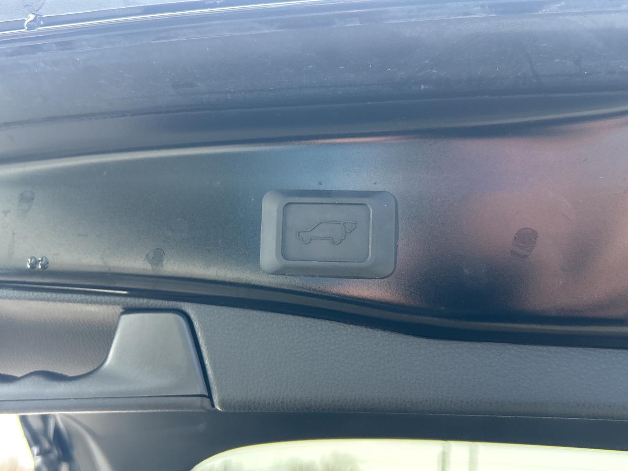 2024 Toyota RAV4 XLE   Sunroof   Leather Photo