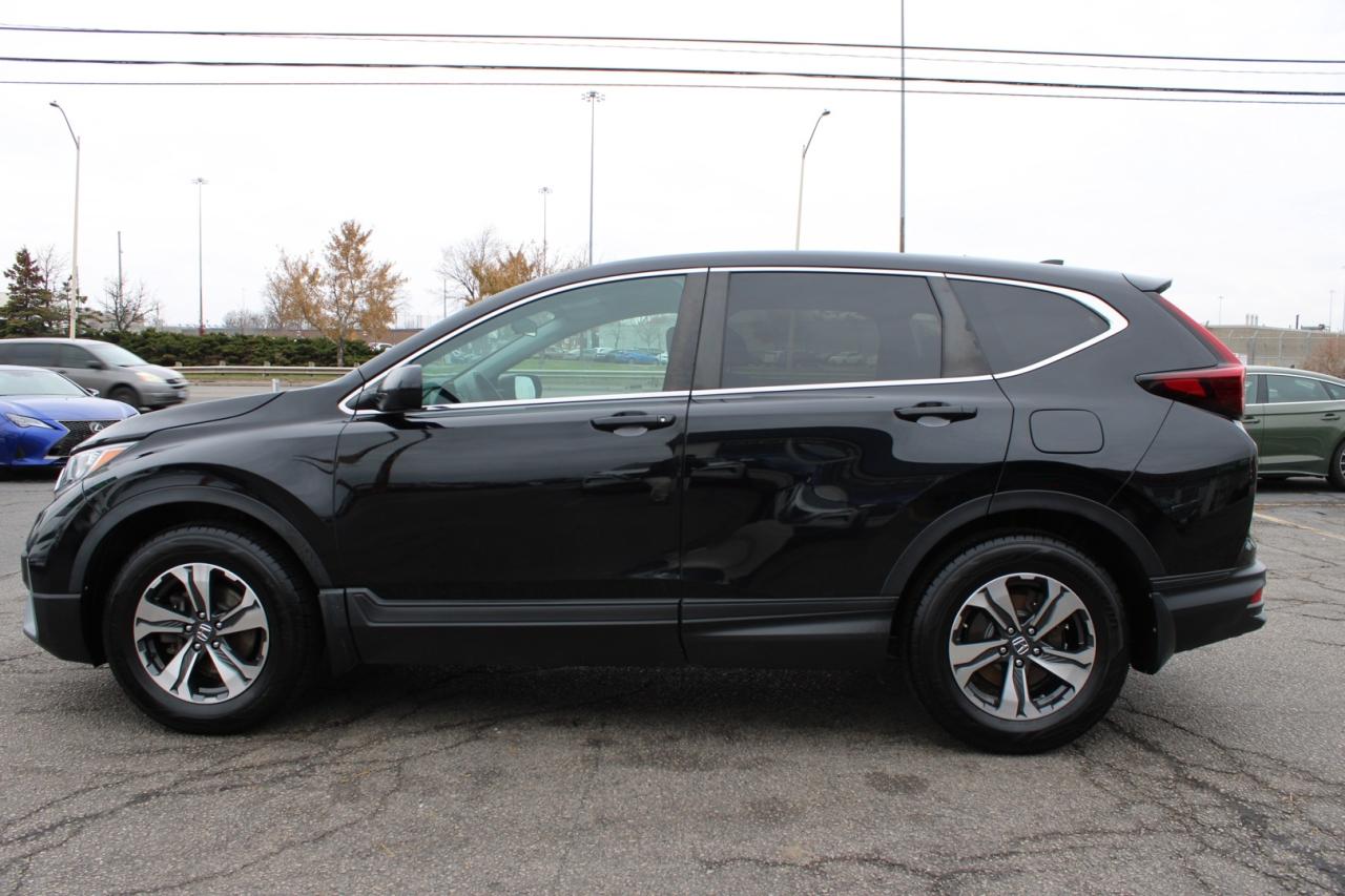 2020 Honda CR-V LX Photo