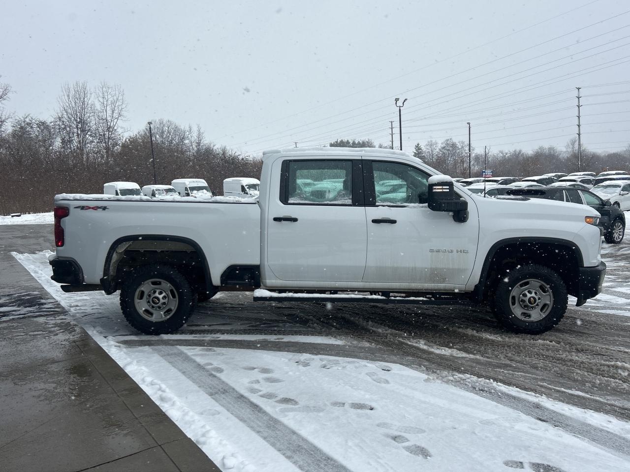 2023 Chevrolet SILVERADO 2500HD Crew Cab 159  Work Truck Photo