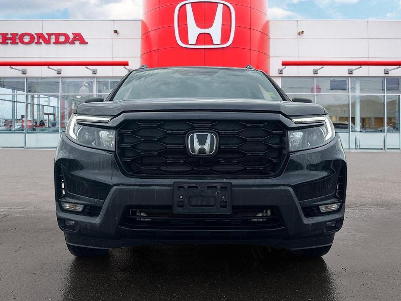2023 Honda Passport Touring Photo