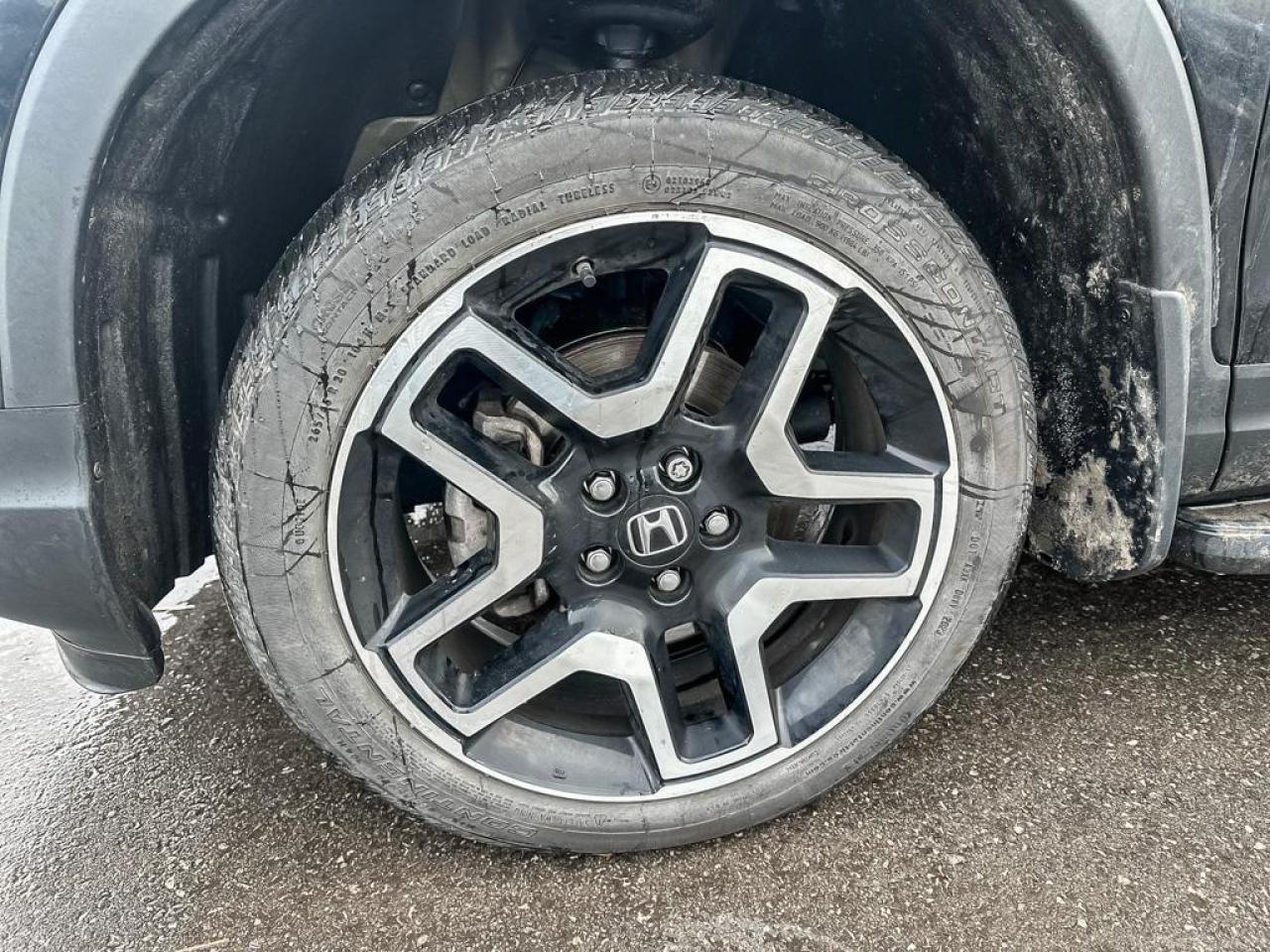 2023 Honda Passport Touring Photo