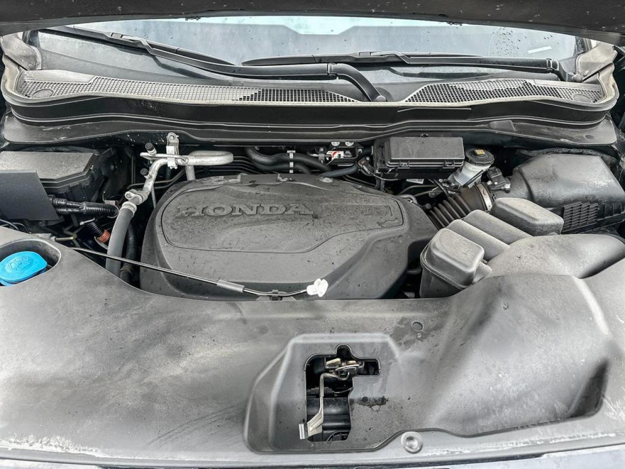 2023 Honda Passport Touring Photo