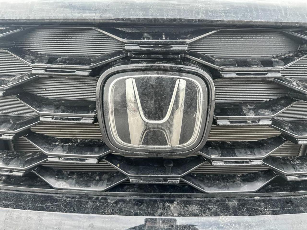 2023 Honda Passport Touring Photo