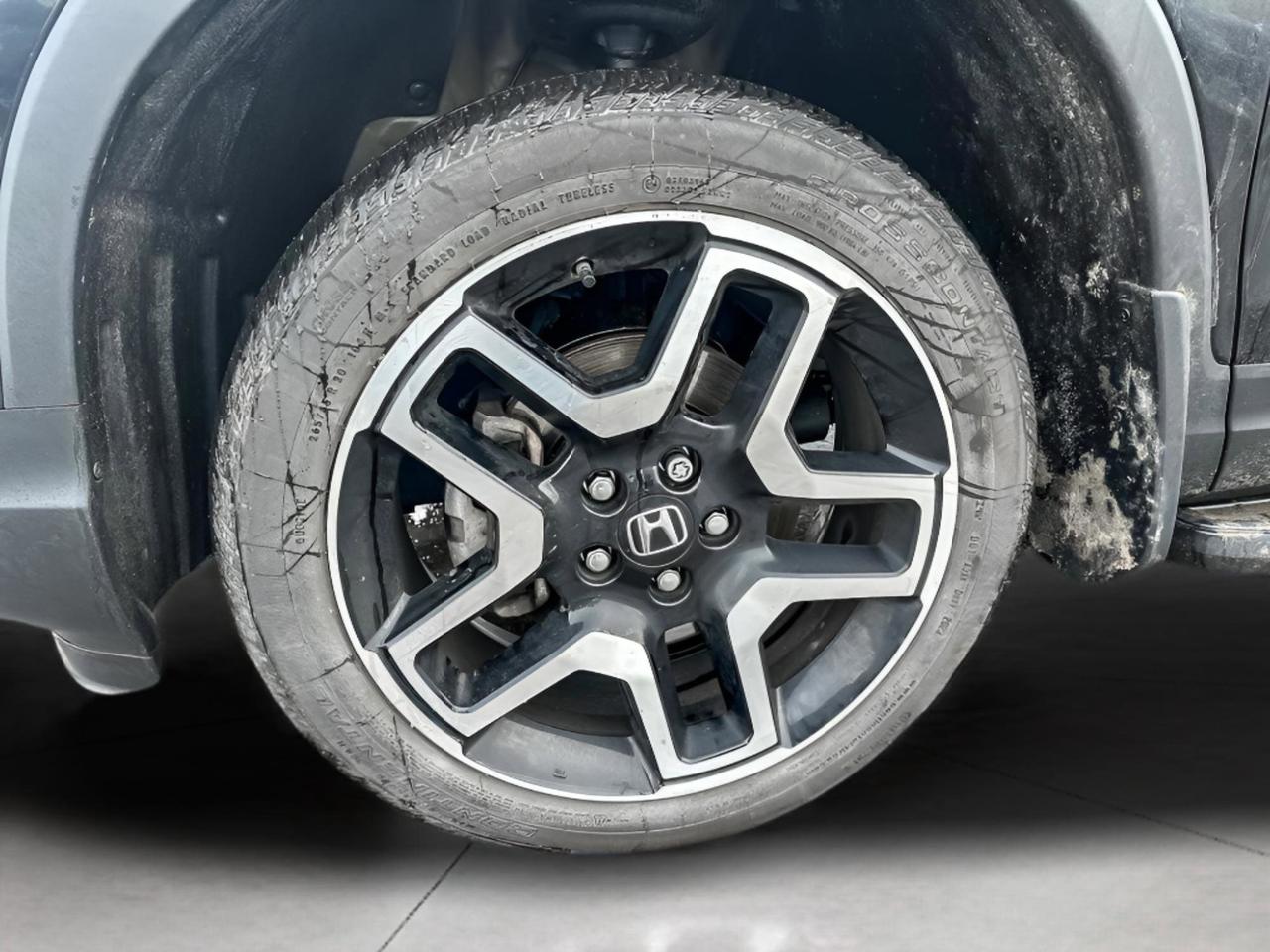 2023 Honda Passport Touring Photo