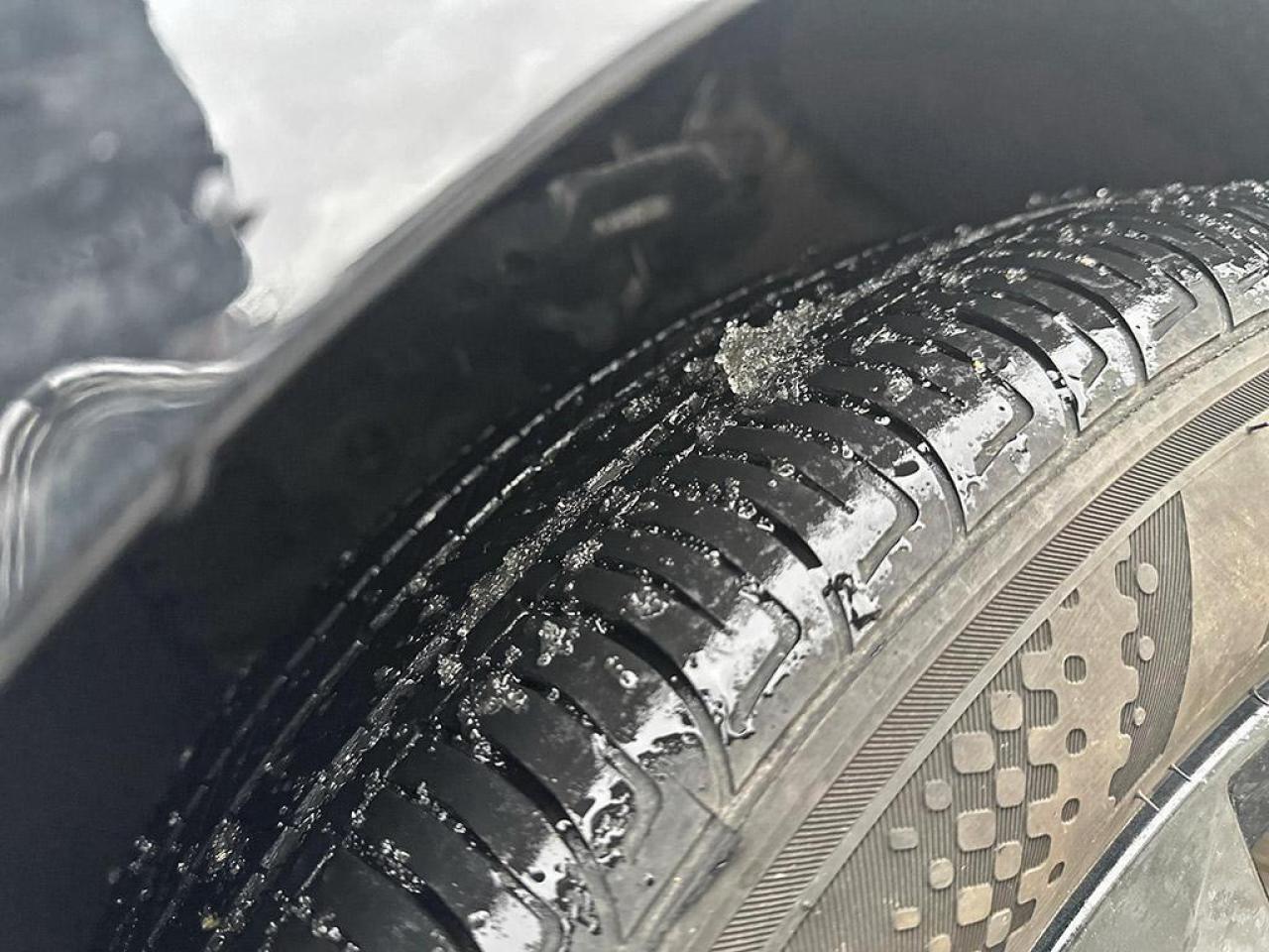 2023 Hyundai Elantra Preferred Photo