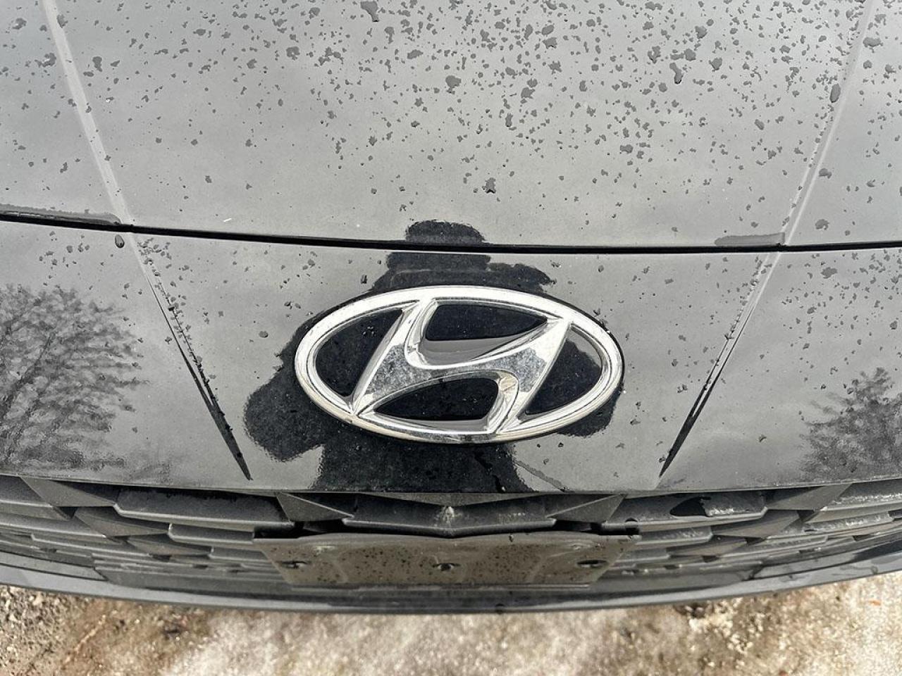 2023 Hyundai Elantra Preferred Photo