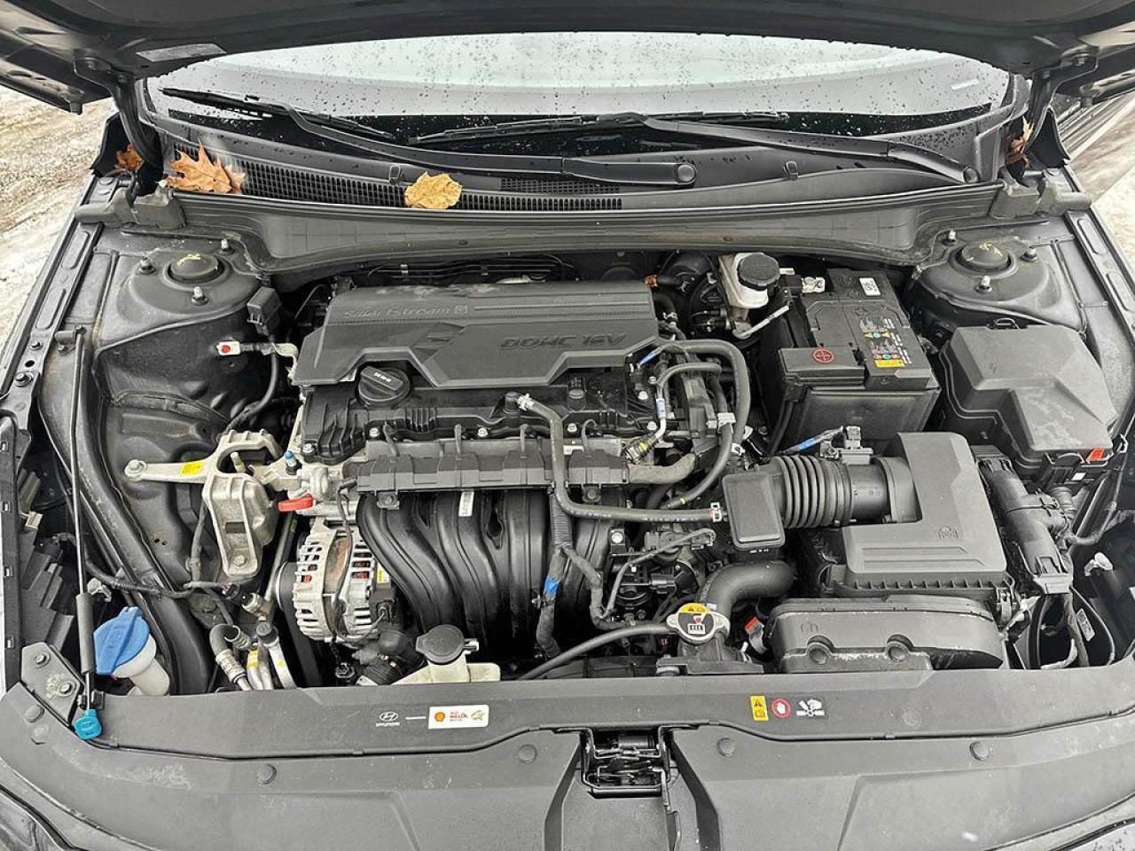 2023 Hyundai Elantra Preferred Photo