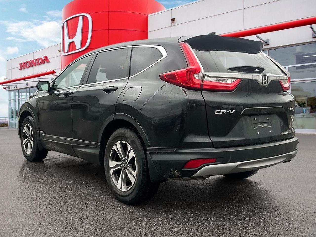 2018 Honda CR-V LX Photo3