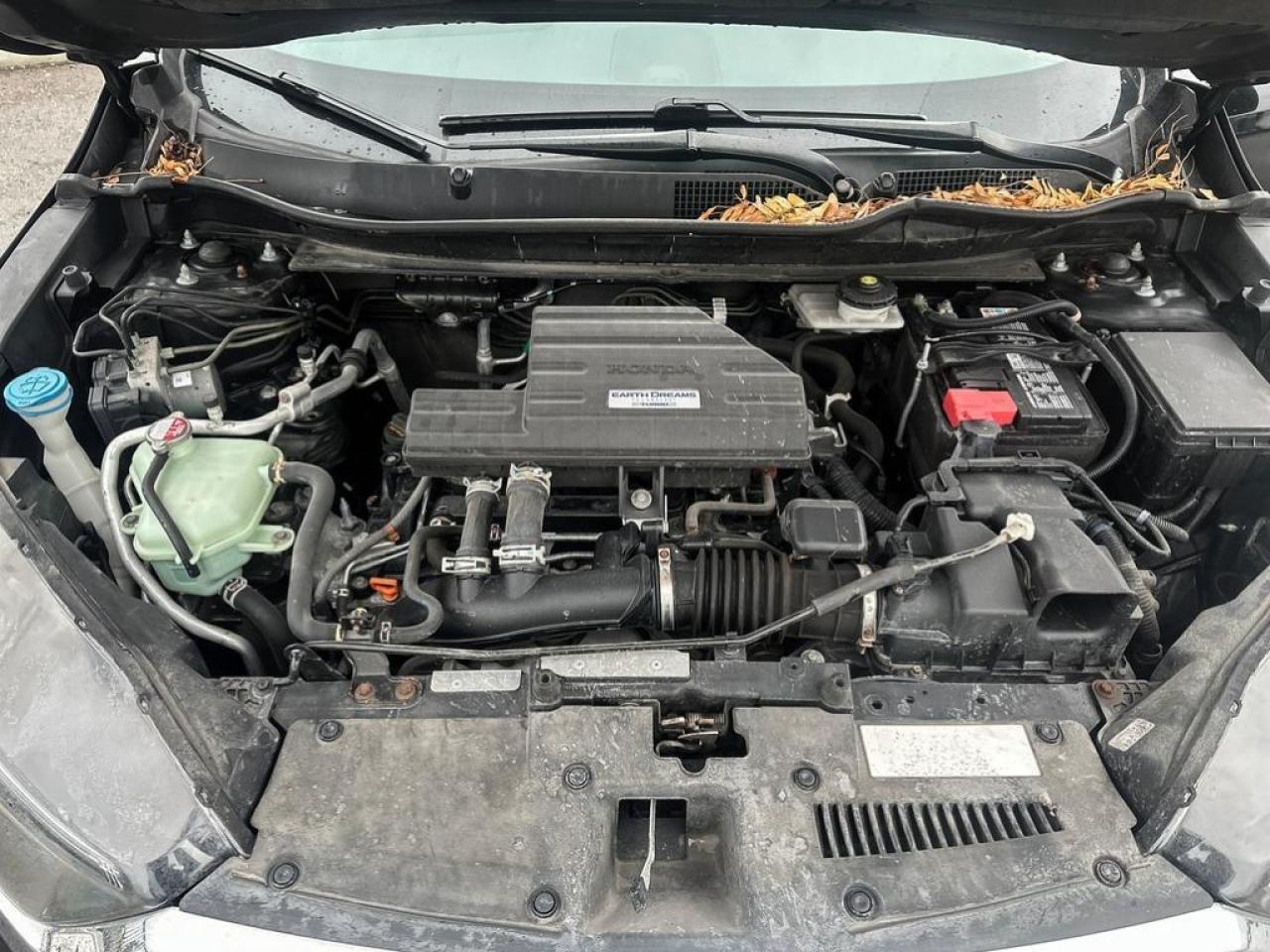 2018 Honda CR-V LX Photo