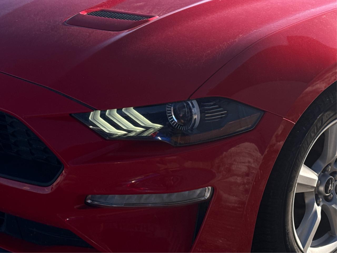 2018 Ford Mustang CLEAN! MUST SEE!  WE FINANCE ALL CREDIT! APPLY NOW Photo