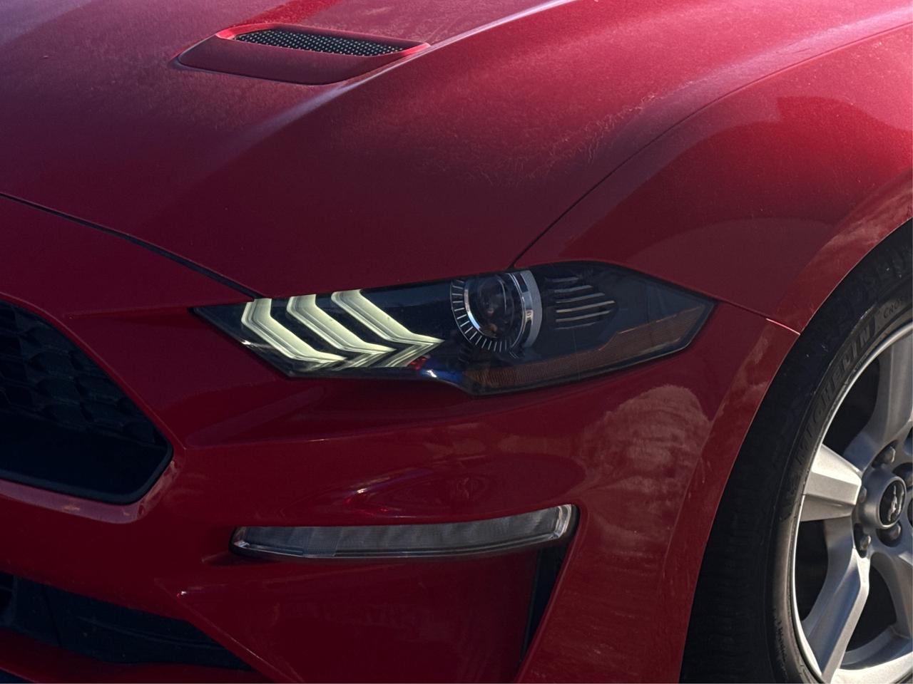 2018 Ford Mustang CLEAN! MUST SEE!  WE FINANCE ALL CREDIT! APPLY NOW Photo