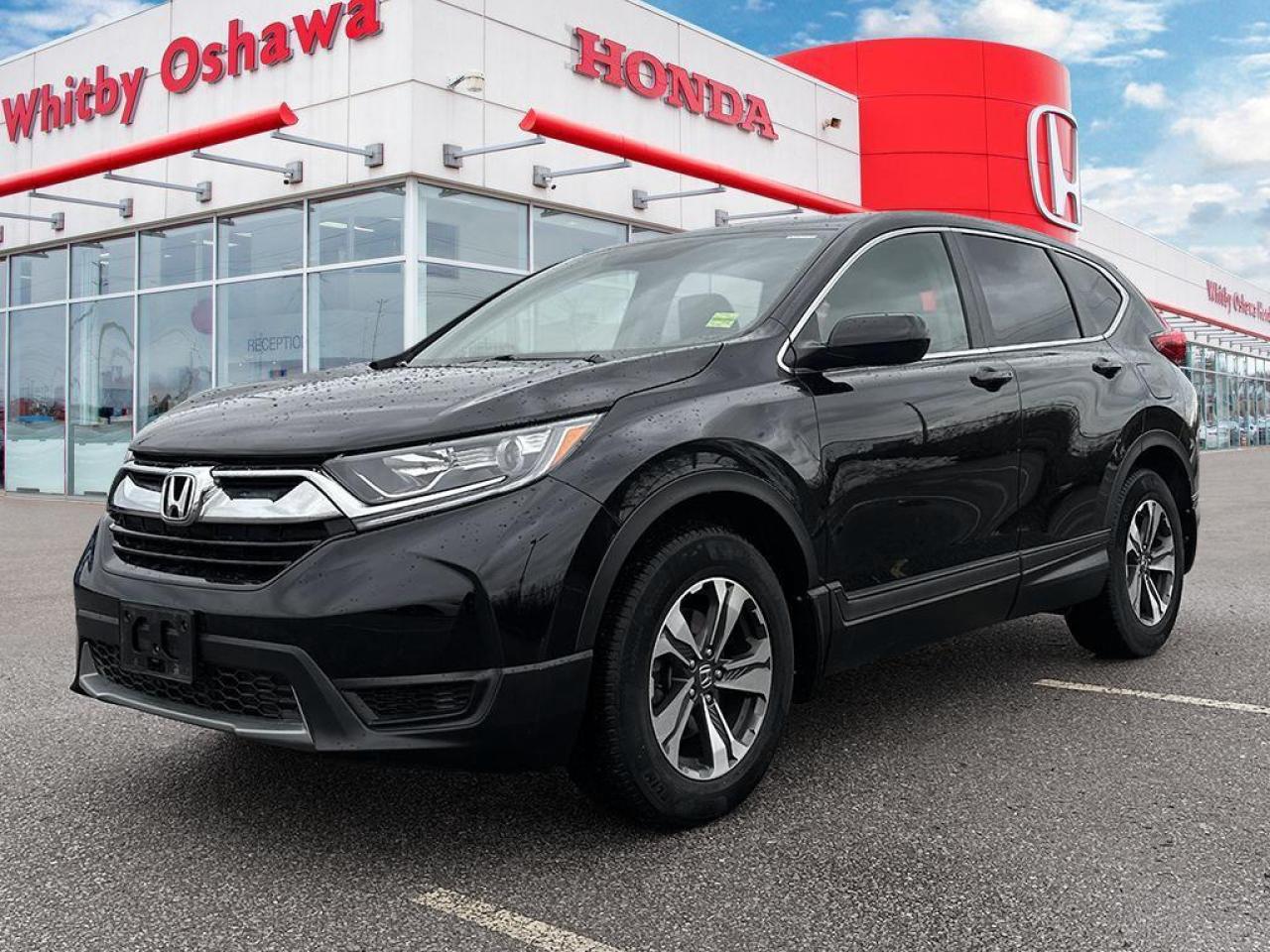 2019 Honda CR-V LX Photo
