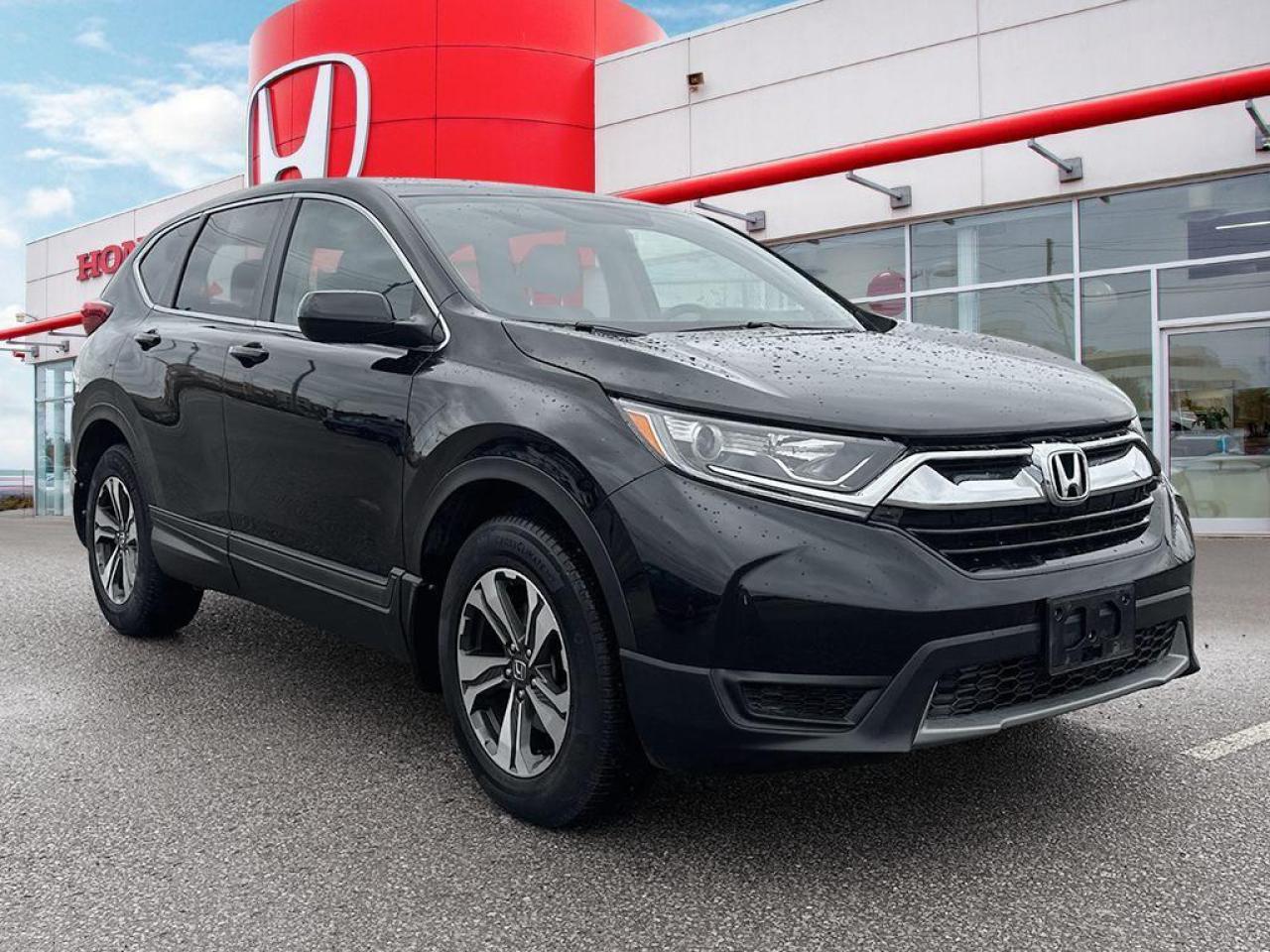 2019 Honda CR-V LX Photo