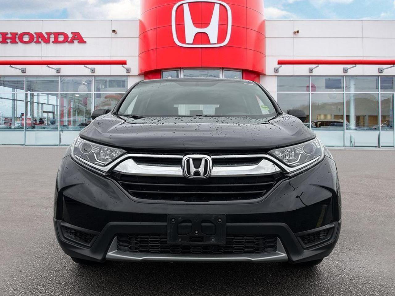 2019 Honda CR-V LX Photo