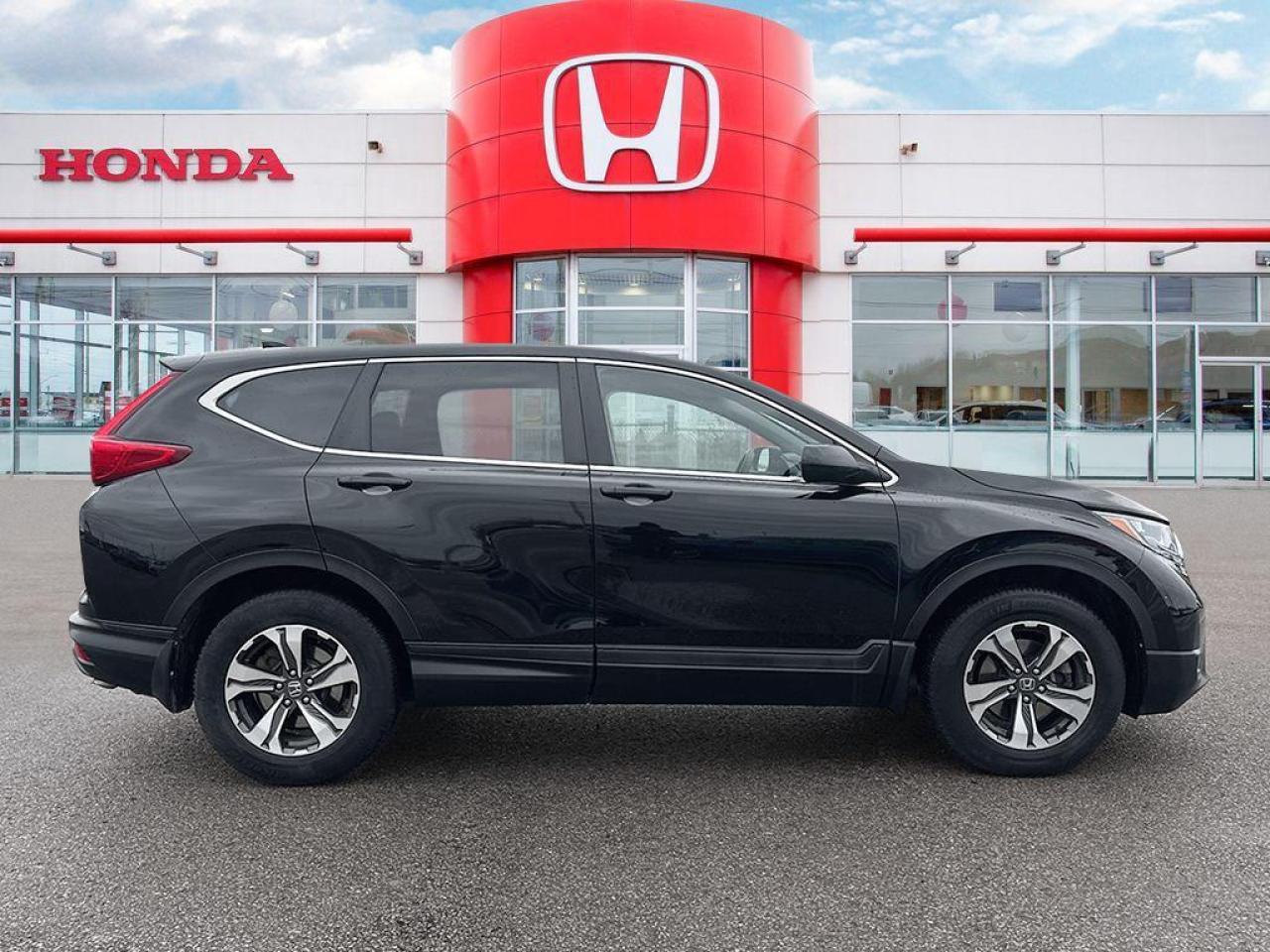 2019 Honda CR-V LX Photo
