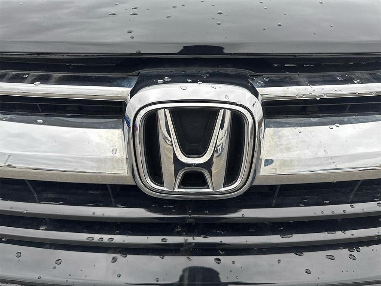 2019 Honda CR-V LX Photo