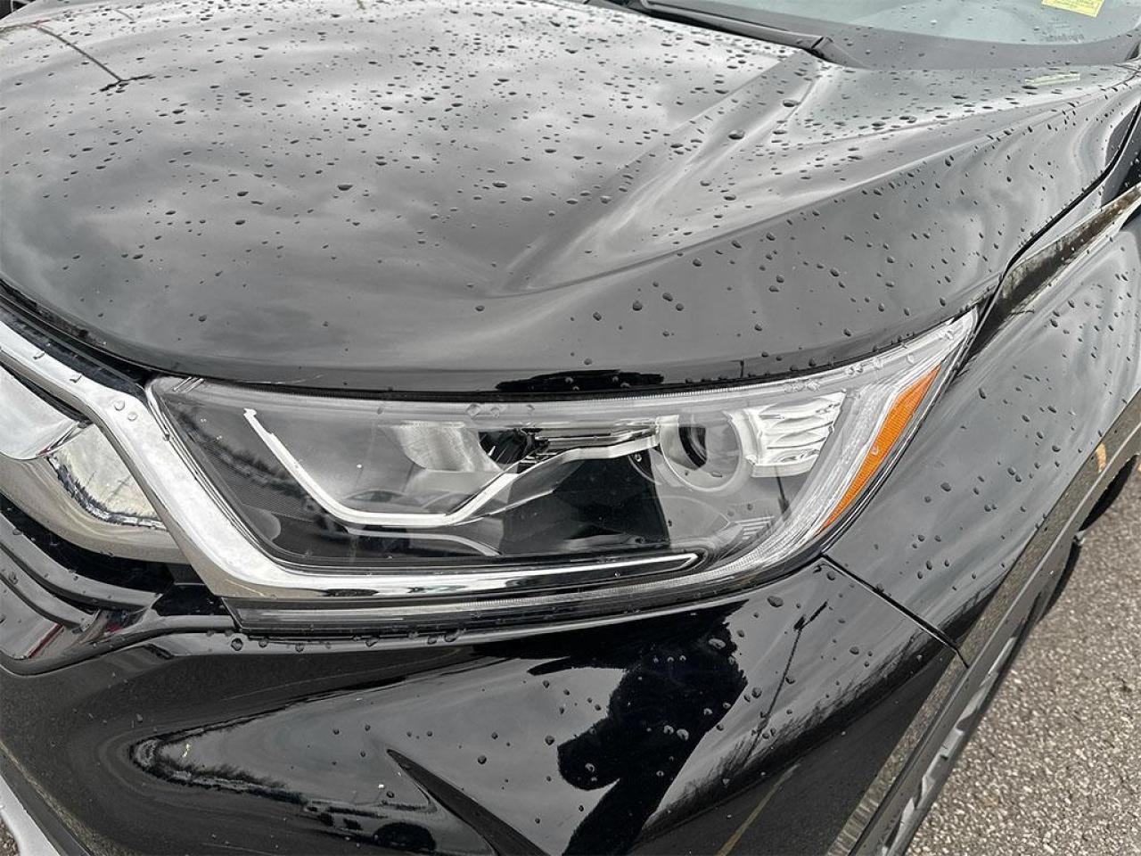 2019 Honda CR-V LX Photo