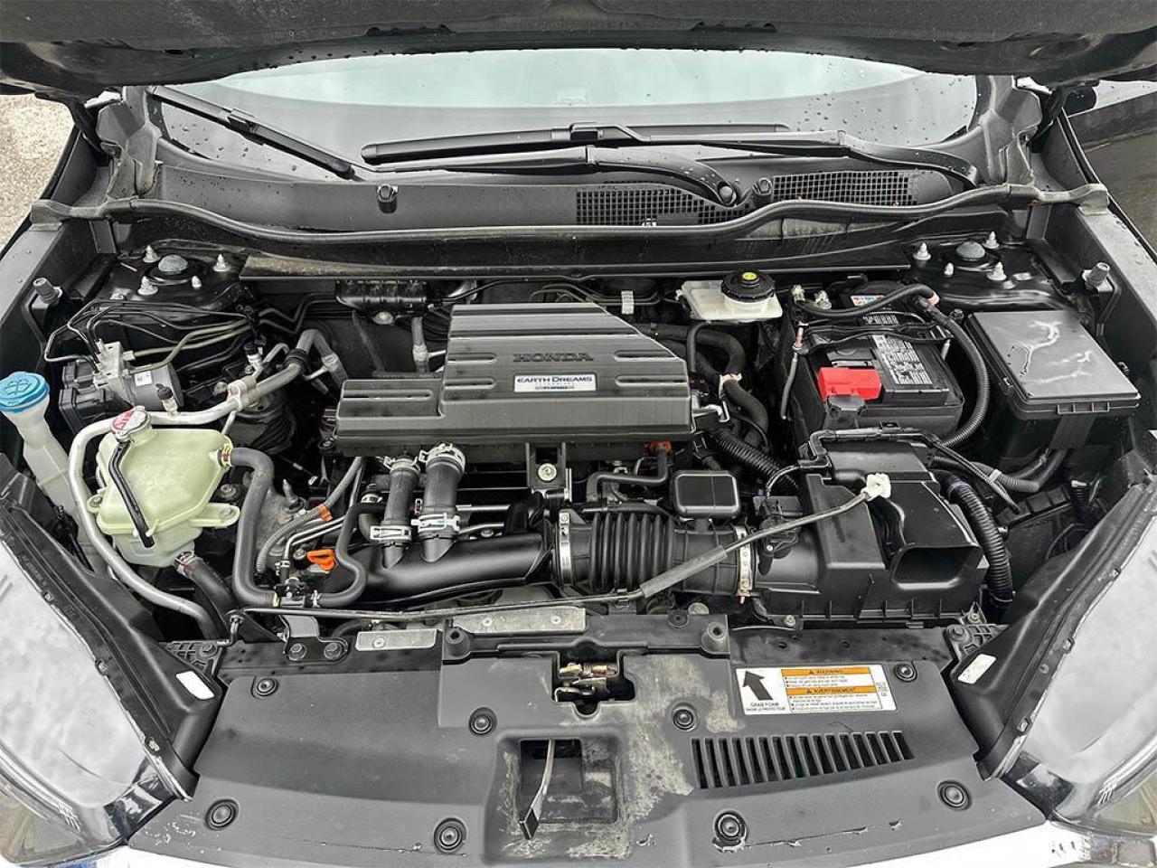 2019 Honda CR-V LX Photo