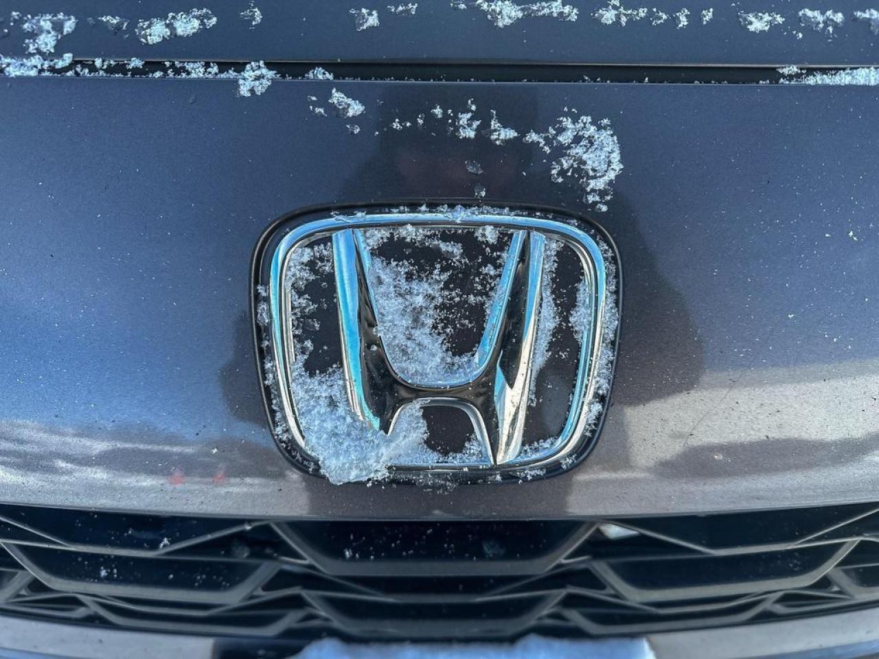 2024 Honda HR-V LX Photo