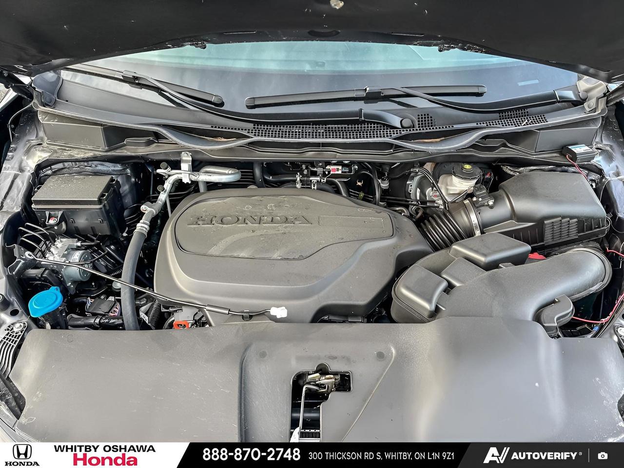 2026 Honda Odyssey Sport-L Photo