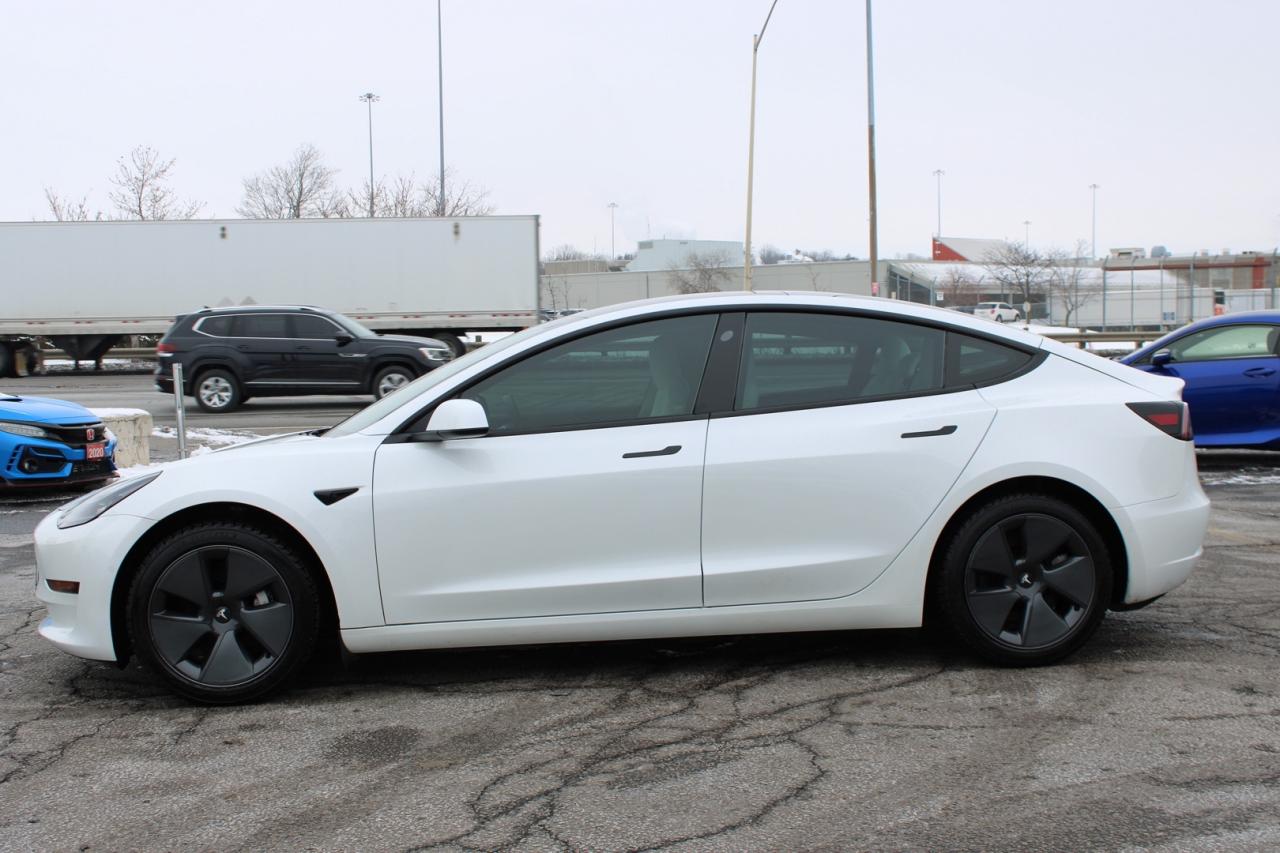 2021 Tesla Model 3 SR+   NO ACCIDENT   WHITE INTERIOR   DONT PAY EXTR Photo3