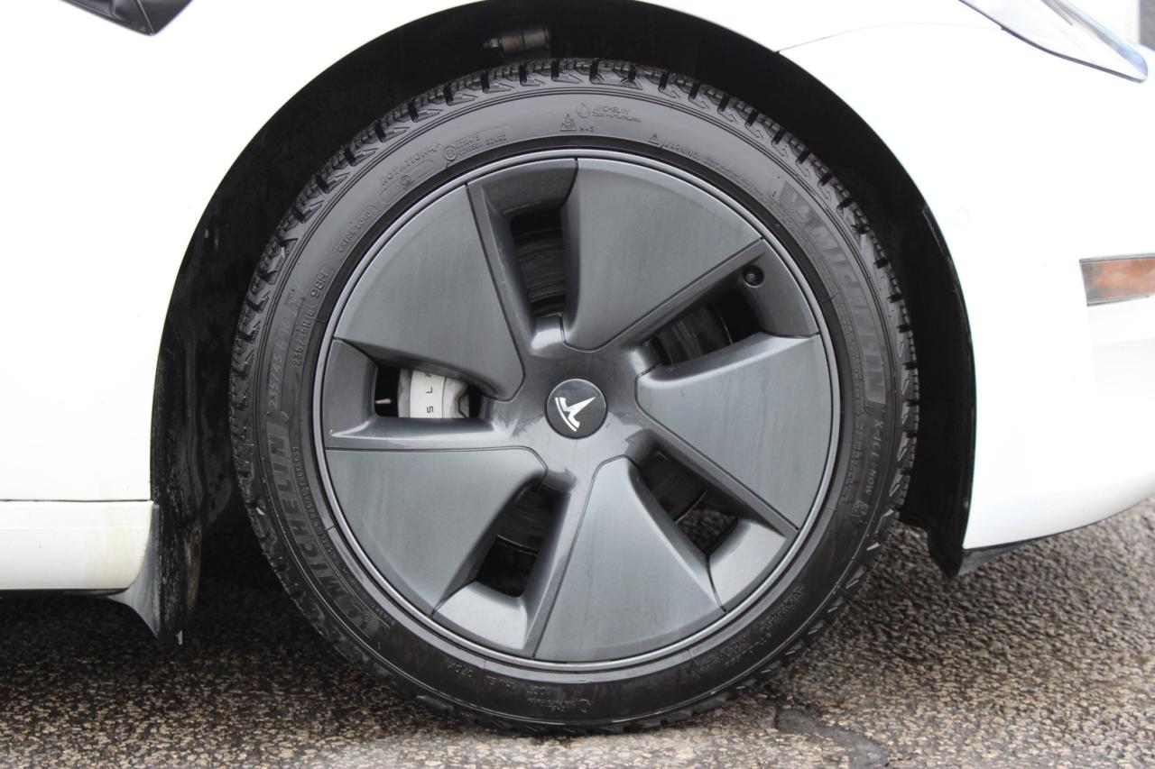 2021 Tesla Model 3 SR+   NO ACCIDENT   WHITE INTERIOR   DONT PAY EXTR Photo