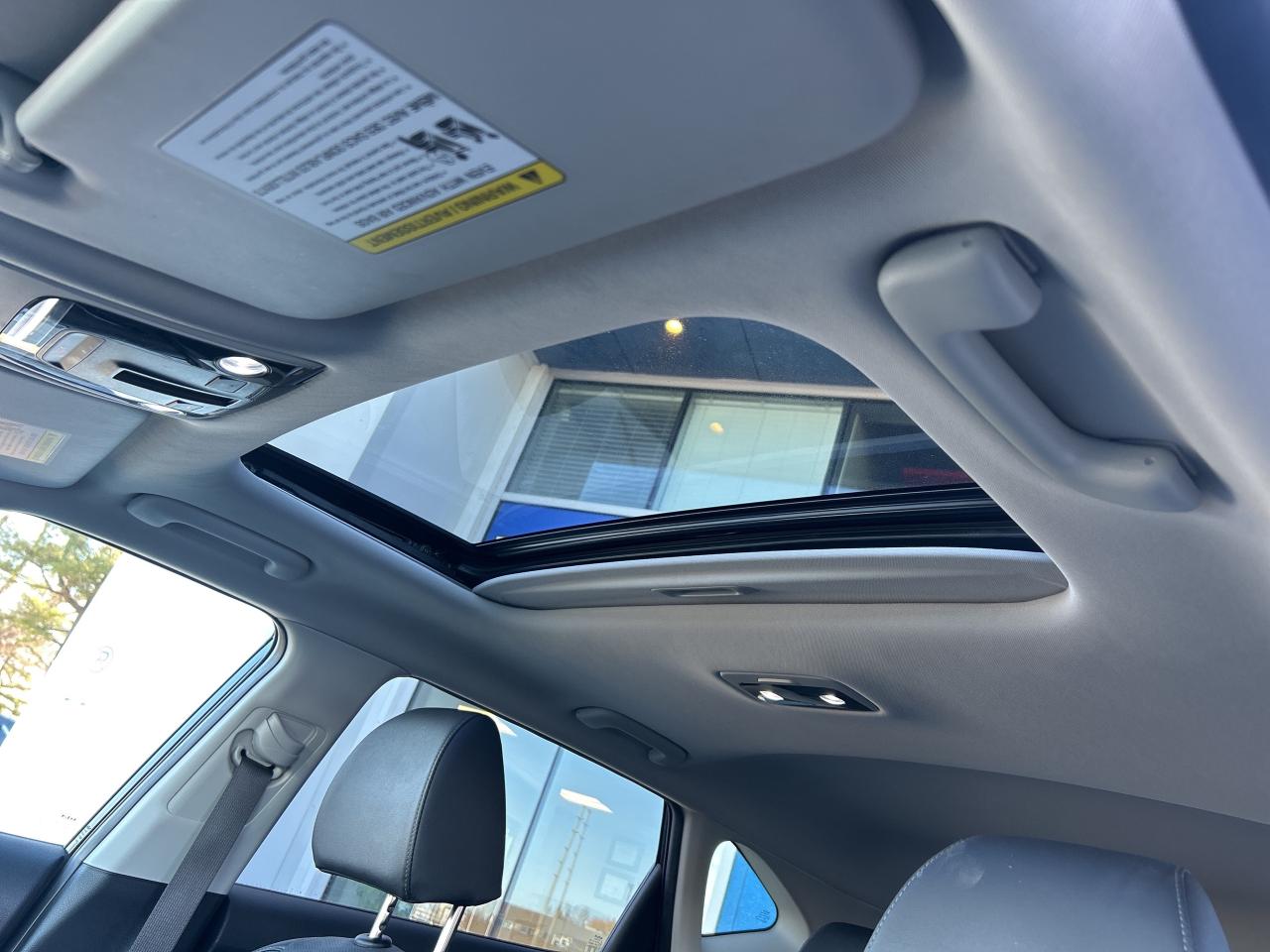 2024 Kia Seltos EX Photo