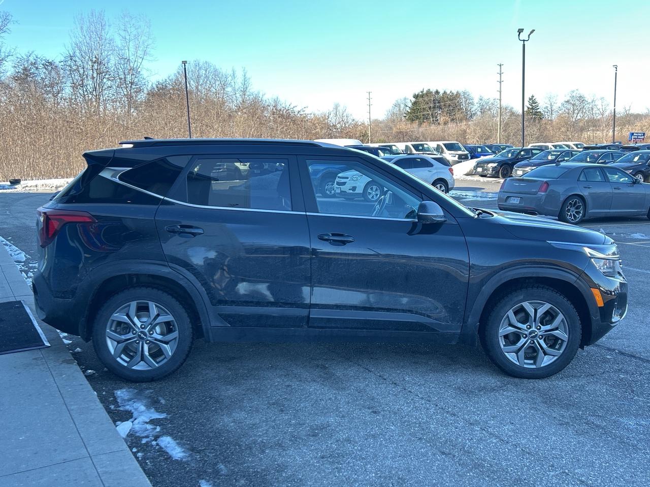 2024 Kia Seltos EX   Clean Carfax Photo